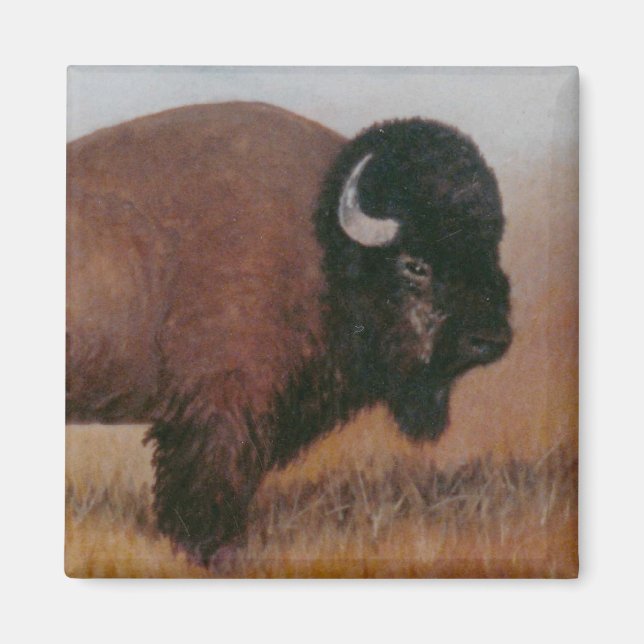 Buffalo Magnet (Front)