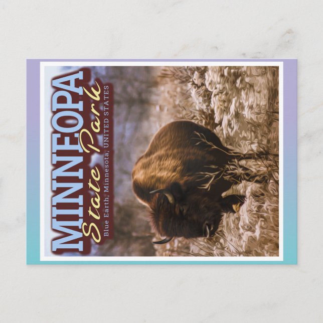 BUFFALO - MINNEOPA STATE PARK - MINNESOTA USA POSTCARD (Front)