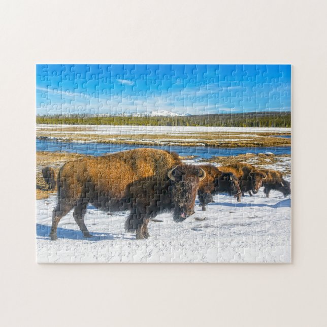 Buffalo Montana. Jigsaw Puzzle (Horizontal)