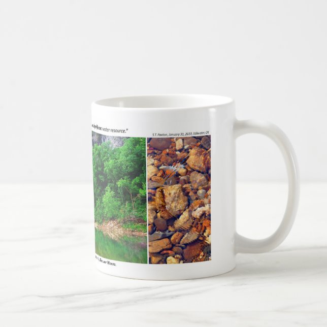 Buffalo National River I - Spring Foliage 2008 Coffee Mug (Right)