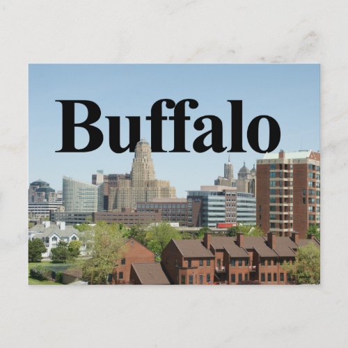 Buffalo New York Skyline with Buffalo in the Sky Postcard