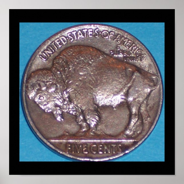 BUFFALO NICKLE POSTER (Front)