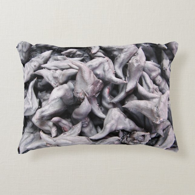 Buffalo Nuts - Water Caltrop Accent Pillow (Front)