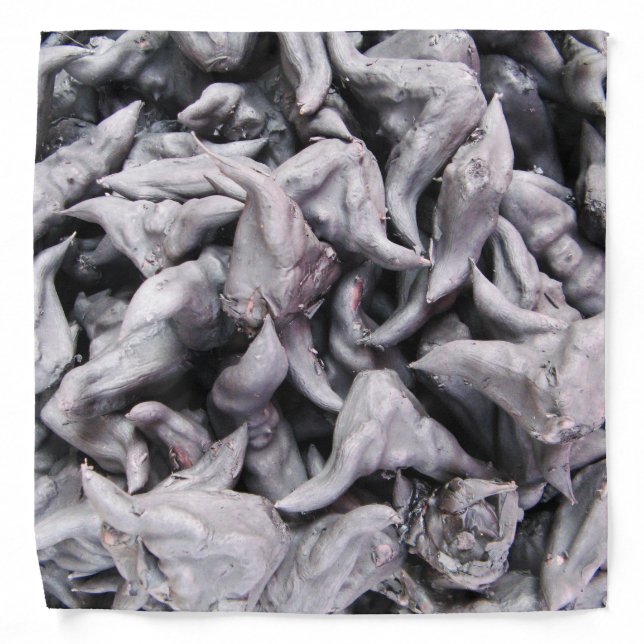 Buffalo Nuts - Water Caltrop Bandana (Front)