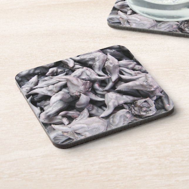 Buffalo Nuts - Water Caltrop Beverage Coaster (Left Side)