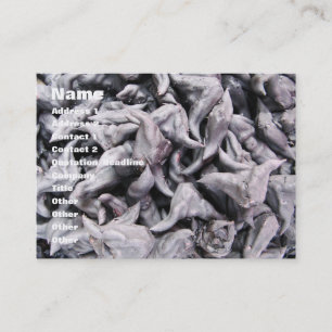 Buffalo Nuts - Water Caltrop Business Card