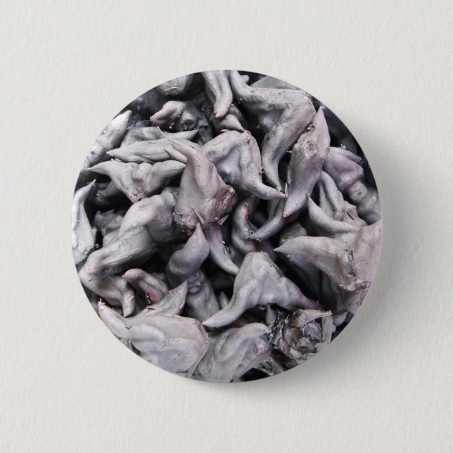 Buffalo Nuts - Water Caltrop Button (Front)