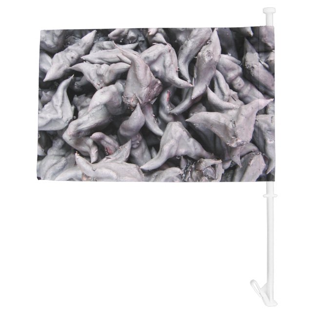 Buffalo Nuts - Water Caltrop Car Flag (Back)