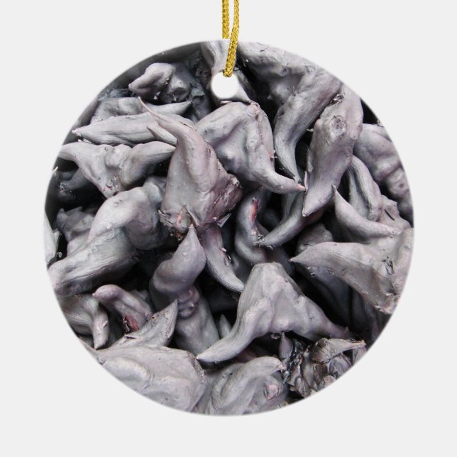 Buffalo Nuts - Water Caltrop Ceramic Ornament (Front)