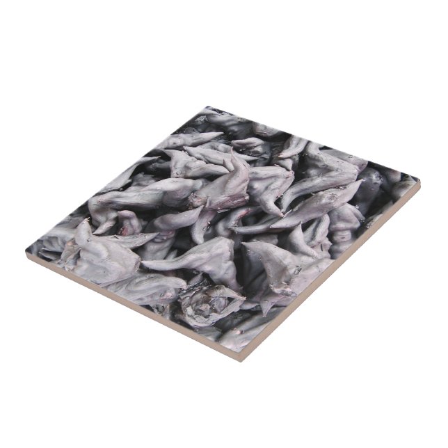 Buffalo Nuts - Water Caltrop Ceramic Tile (Side)