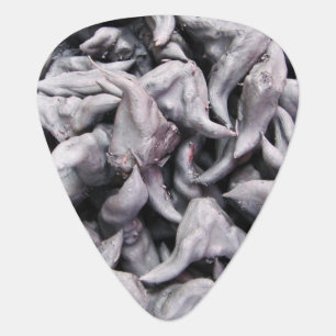 Buffalo Nuts - Water Caltrop Guitar Pick