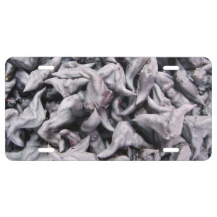 Buffalo Nuts - Water Caltrop License Plate