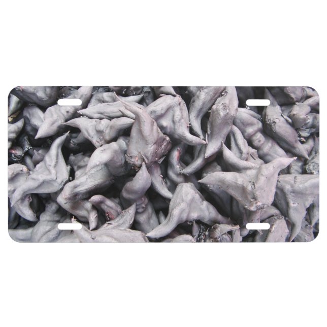 Buffalo Nuts - Water Caltrop License Plate (Front)
