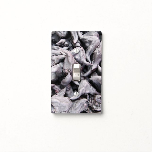Buffalo Nuts - Water Caltrop Light Switch Cover (In Situ)