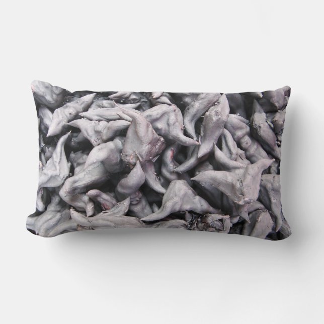 Buffalo Nuts - Water Caltrop Lumbar Pillow (Front)