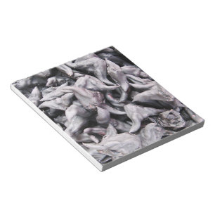 Buffalo Nuts - Water Caltrop Notepad