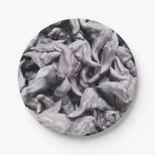 Buffalo Nuts - Water Caltrop Paper Plates