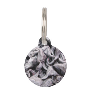 Buffalo Nuts - Water Caltrop Pet ID Tag