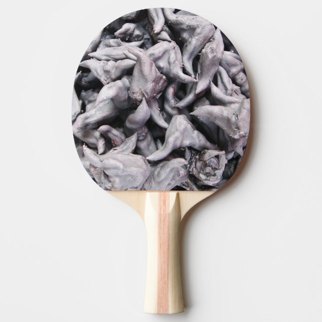 Buffalo Nuts - Water Caltrop Ping Pong Paddle (Front)