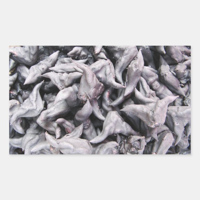 Buffalo Nuts - Water Caltrop Rectangular Sticker (Front)