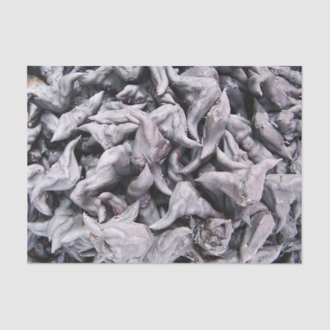 Buffalo Nuts - Water Caltrop Tissue Paper (Front)