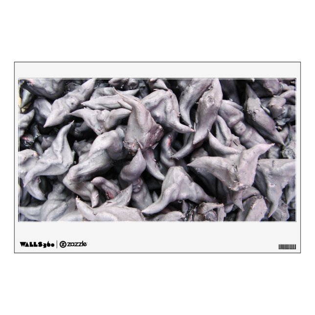 Buffalo Nuts - Water Caltrop Wall Decal (Front)
