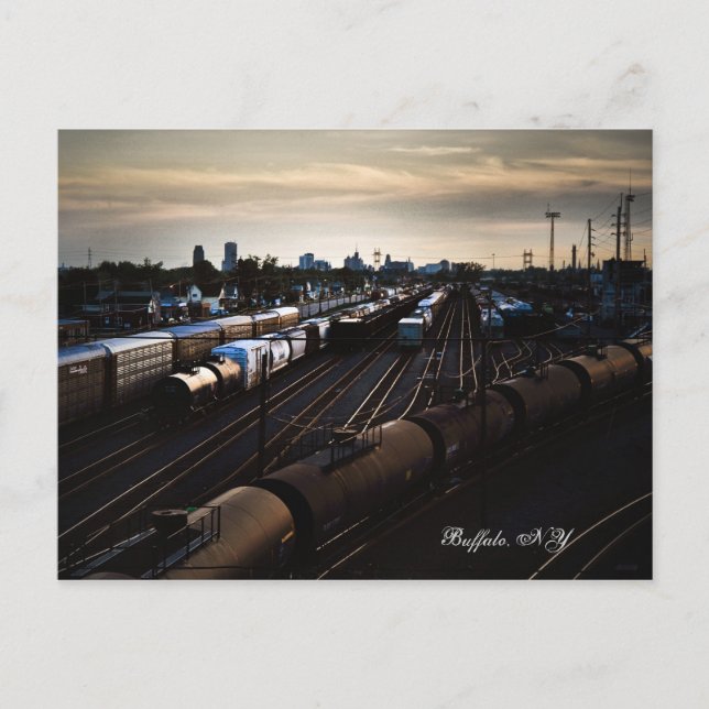 Buffalo, NY Postcard (Front)