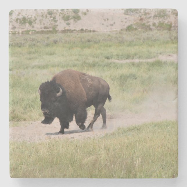 Buffalo on the move, Photography Stone Coaster (Front)