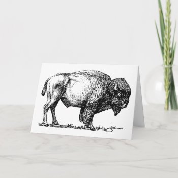 Buffalo Or Bison Greeting Card by astralcity at Zazzle