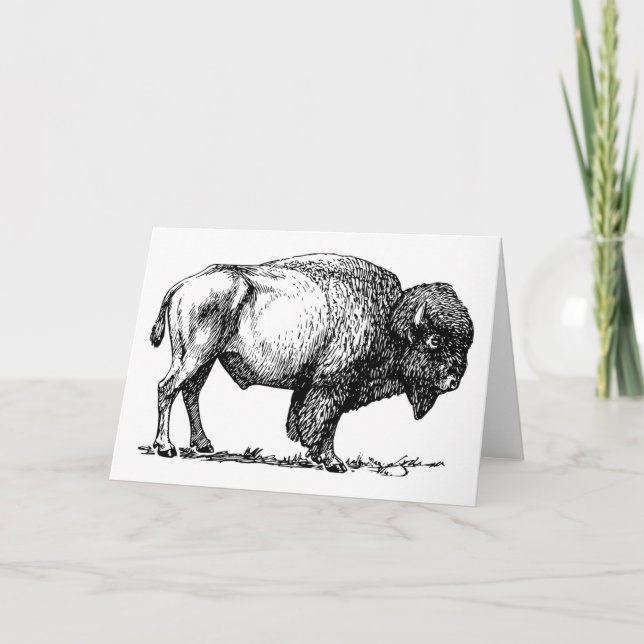 Buffalo or Bison greeting card (Front)