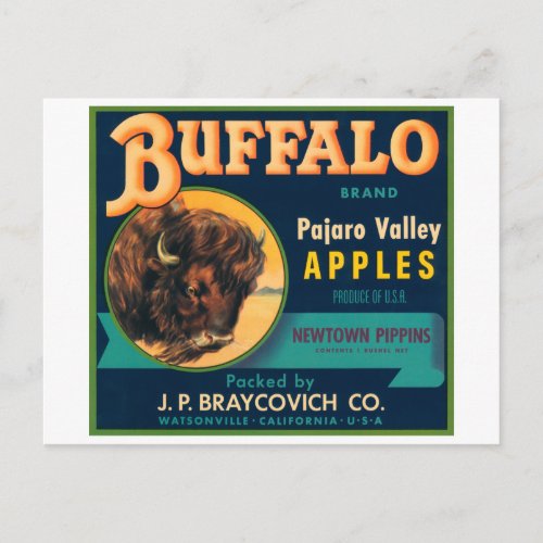 Buffalo Pajaro Valley Apples Vintage Crate Label Postcard