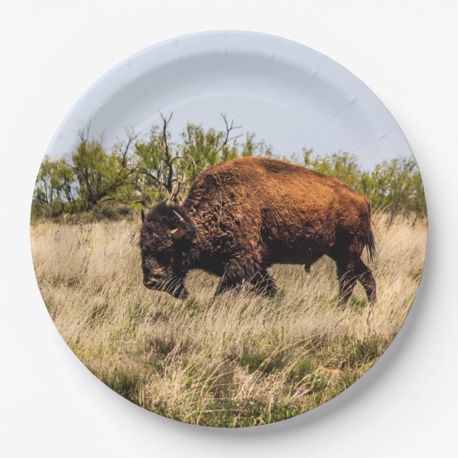 Buffalo Paper Plates (Front)