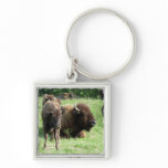 Buffalo Picture Keychain