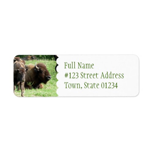 Buffalo Picture Mailing Lab ble Label