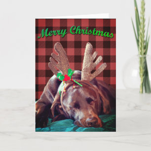 Buffalo Plaid Labrador Wearing Antlers Photograph Holiday Card