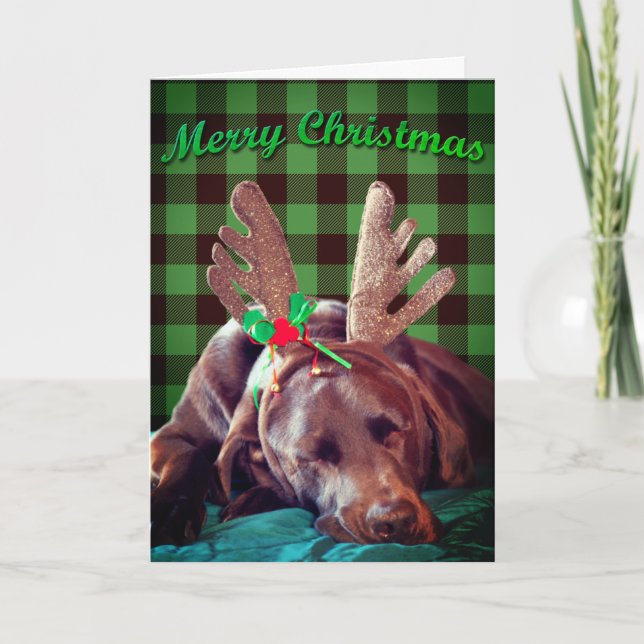 Buffalo Plaid Labrador Wearing Antlers Photograph Holiday Card (Front)