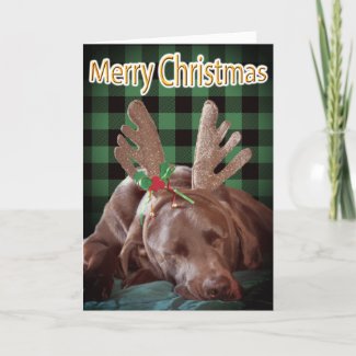 Buffalo Plaid Labrador Wearing Antlers Photograph 