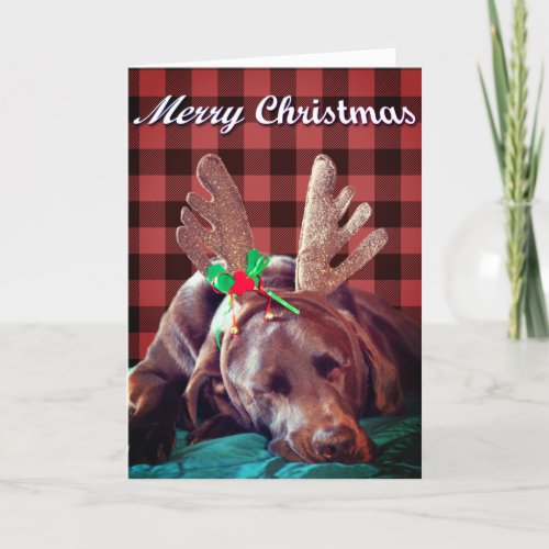 Buffalo Plaid Labrador Wearing Antlers Photograph  Holiday Card