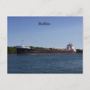 Buffalo postcard