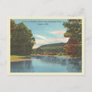 Buffalo River in Arkansas vintage scene Postcard
