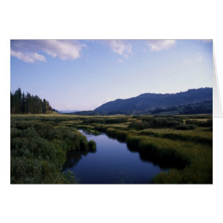 Buffalo River, North Fork Wy. Cards