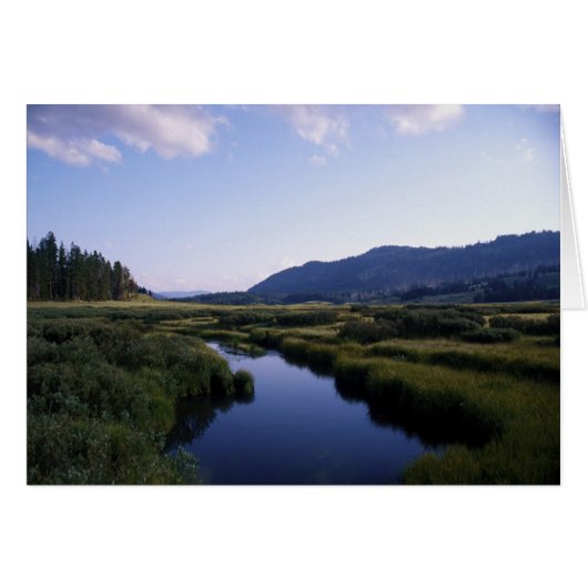 Buffalo River, North Fork Wy. Cards (Front Horizontal)