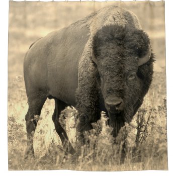 Buffalo Shower Curtain by MarblesPictures at Zazzle