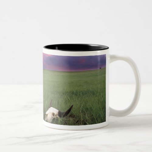 Buffalo Skull in Prairie Grass near Medora Two_Tone Coffee Mug