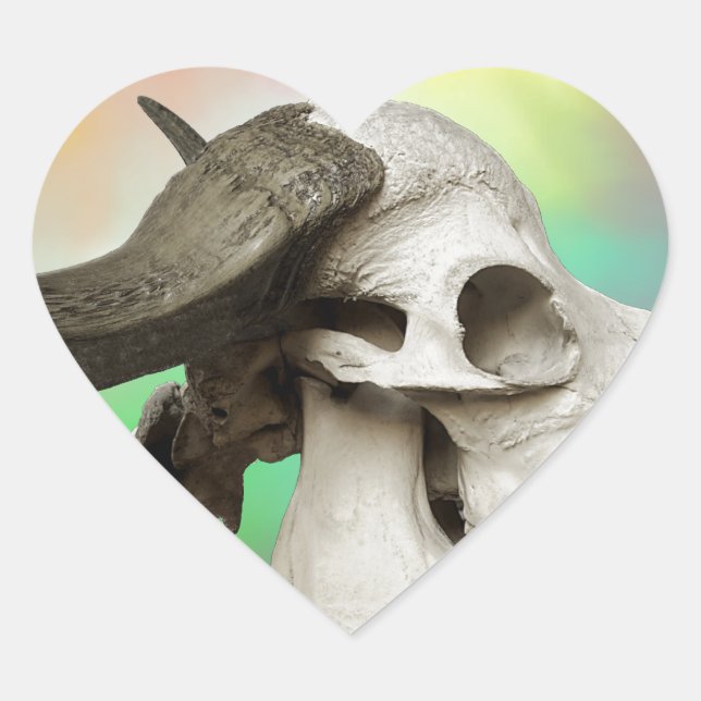 Buffalo Skull on a Watercolor Background Heart Sticker (Front)