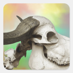 Buffalo Skull on a Watercolor Background Square Sticker