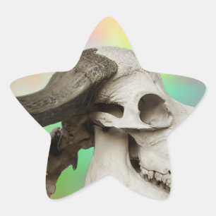 Buffalo Skull on a Watercolor Background Star Sticker