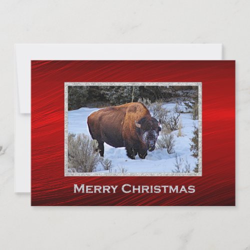 Buffalo Snow Photo Christmas Flat Holiday Card