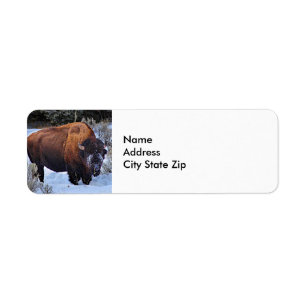 Buffalo Snow Photo Label