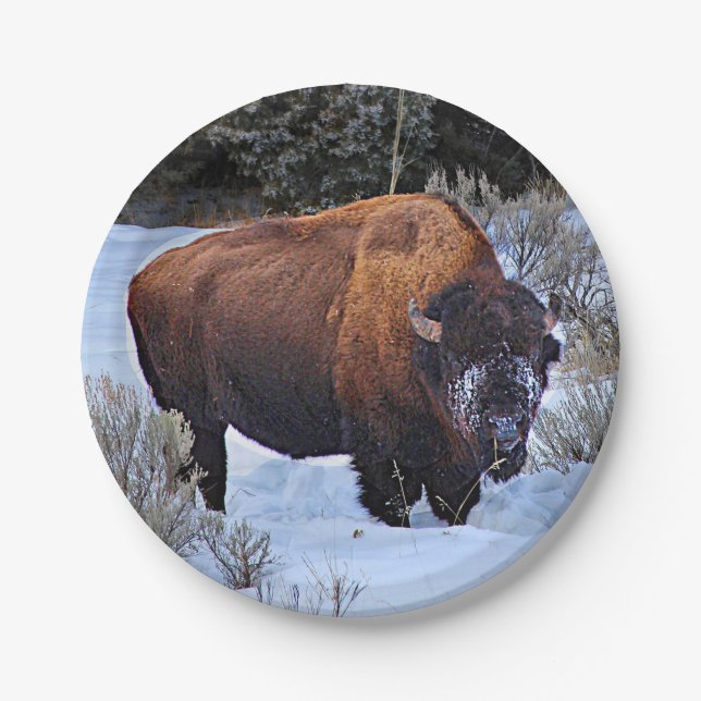 Buffalo Snow Photo Paper Plates (Front)